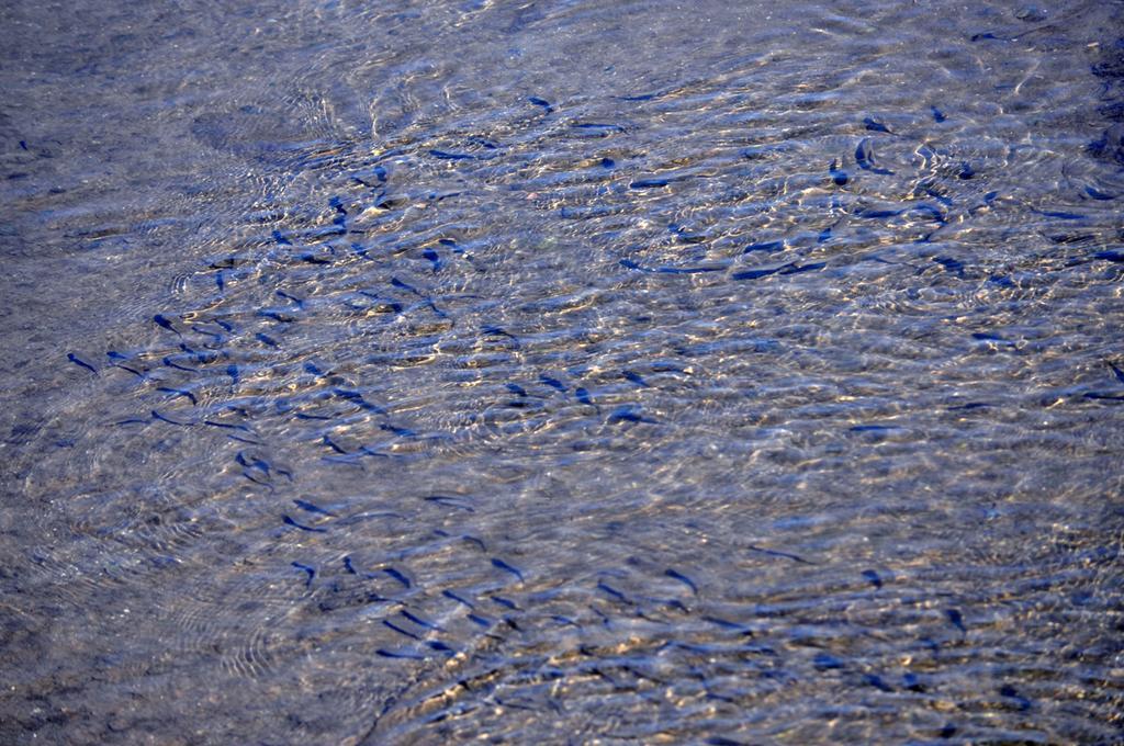 Moinhos Das Mares Fuzeta Bagian luar foto
