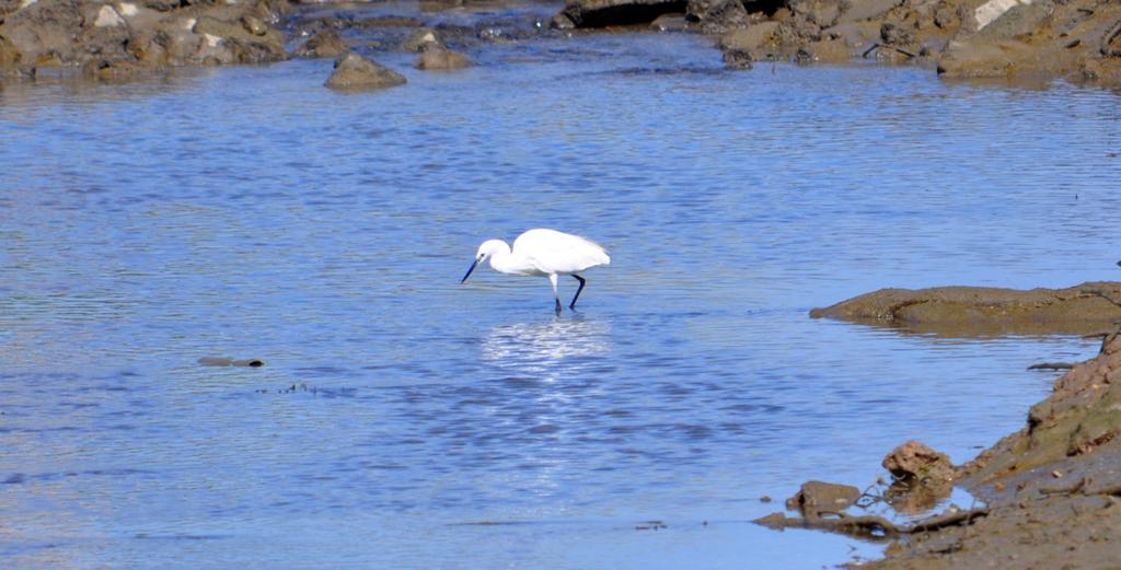 Moinhos Das Mares Fuzeta Bagian luar foto